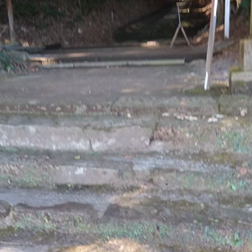 今年最後の巳の日だったのでの画像