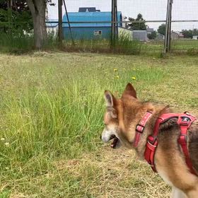 会いに行く その30　4ヶ月の画像
