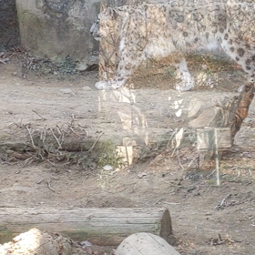 多摩動物公園の画像