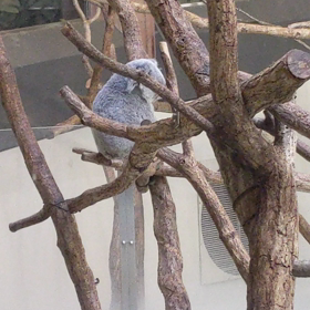 多摩動物公園の画像