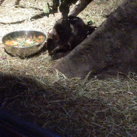 多摩動物公園の画像
