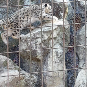多摩動物公園の画像