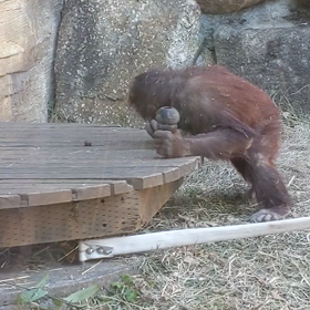 多摩動物公園の画像