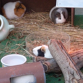 多摩動物公園の画像