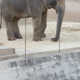 多摩動物公園の画像
