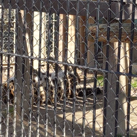 東武動物公園の画像