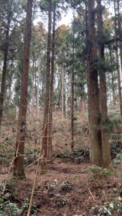 御岩神社ミラクルが起こりました！！の記事動画