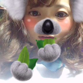 コアラの画像