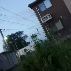 2020/09/17の画像