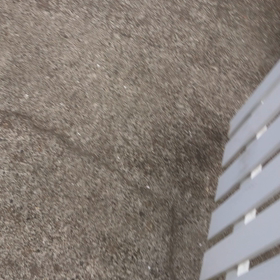 2021/04/12の画像