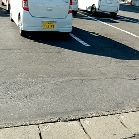 2022/11/12の画像