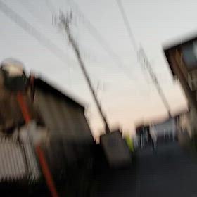 2025/7/29の画像