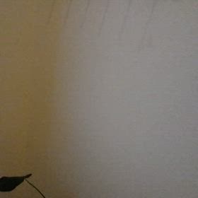 2025/7/30の画像