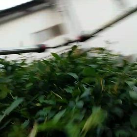 2025/7/29の画像