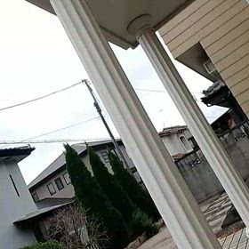 2025/11/24の画像