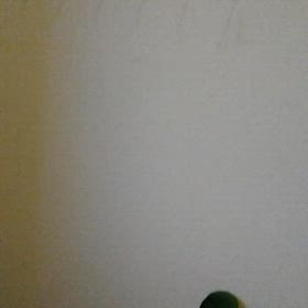 2024/04/20の画像
