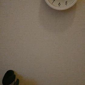 2024/04/27の画像
