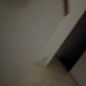 2024/04/19の画像
