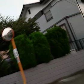 2025/8/5の画像