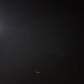 2025/11/24の画像