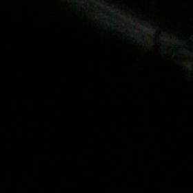 2020/10/30の画像