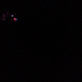 2022/11/05の画像