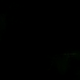 2021/01/26の画像