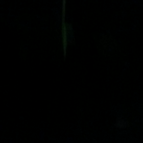 2020/11/13の画像