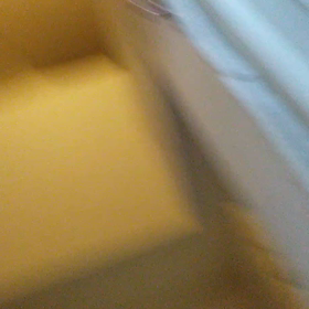 2022/08/12の画像