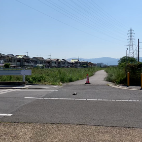明日を信じての画像