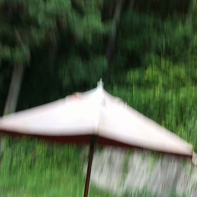 ひぐらしの画像