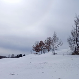 いつもの場所の画像