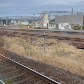 近鉄特急❗️の画像