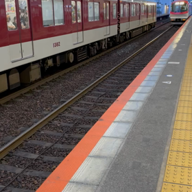 赤エビ(伊勢志摩ライナー)の画像