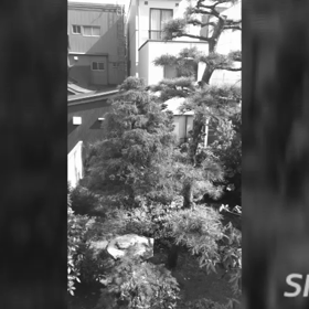 お庭の画像