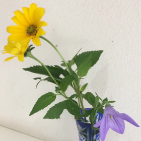 スライド  ショーの画像
