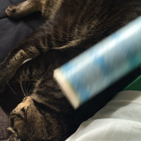 よし子のマッサージ機(￣ー￣)ﾉの画像