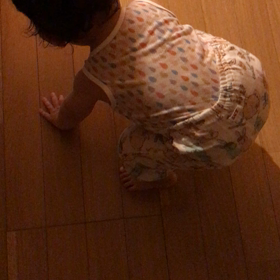 歩き始めましたの画像