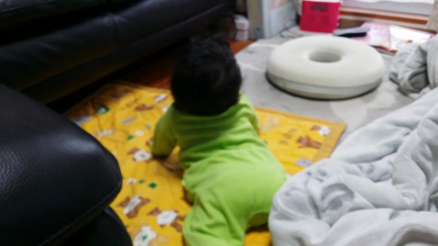 6m6d  ピョンピョン、ズリバイからのハイハイ？？動画の記事動画