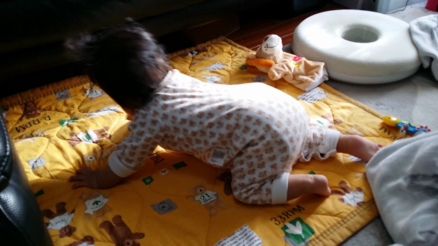 6m1d  四つん這いでユラユラ～☺の記事動画