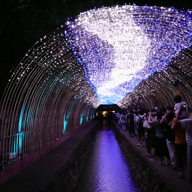 京の七夕 堀川 ③の画像