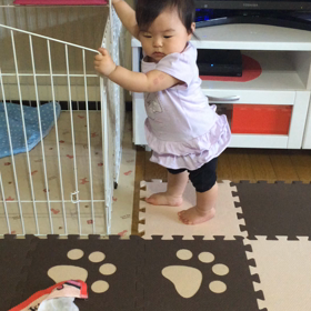 れんちゃんMovie 歩くまであとちょっと…の画像