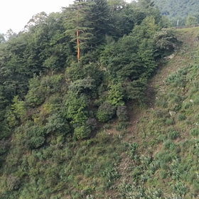 起きられて、三角読みして、間に合いましたの画像