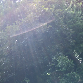 寝れてますか？　の画像