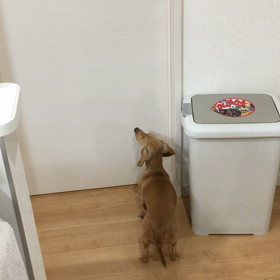 2月24日の画像
