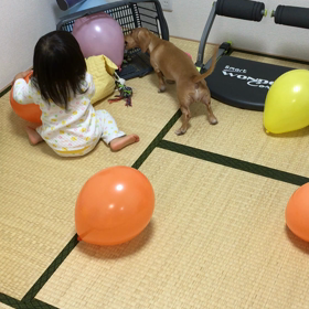 3月18日の画像