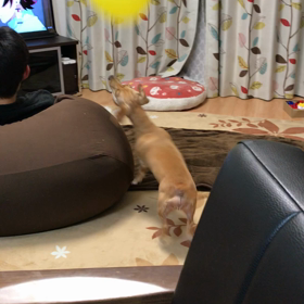 12月22日の画像