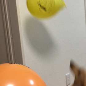 3月17日の画像