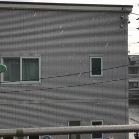 1月16日の画像