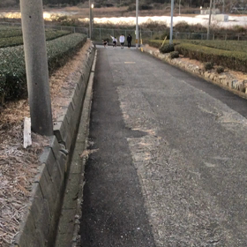 陸トレの画像